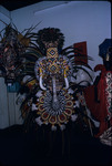 A feathered carnival costume on exhibit in the National Museum and Art Gallery of Trinidad and Tobago
