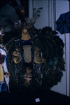 A carnival costume with peacock feathers on exhibit in the National Museum and Art Gallery of Trinidad and Tobago