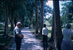 Visitors walking through the Royal Botanic Gardens of Trinidad and Tobago