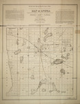 Map of Apopka by Page McKinney
