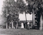 Turtle Mound on Duda's Cocoa Ranch, c. 1960