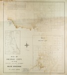 Map and plan of Orange City and vicinity, Volusia County, Florida. by Edward R. Trafford