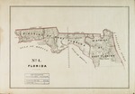 No. 4: Florida. by William James Stone