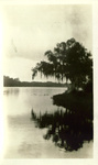 Photograph of Lake Osceola as viewed from the Guild family house.