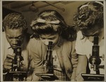 Three students look through microscopes