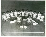 Women's Wildcats basketball team