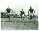 Bethune-Cookman Wildcats track and field