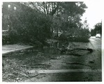Hurricane Donna damage