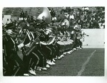Bethune-Cookman Wildcats marching band