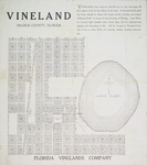 Map of Vineland. by Florida Vinelands Company.