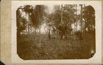 Photograph of W. A. Guild with dog on land near Guild family house, with view of Lake Osceola.