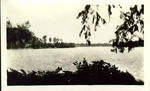 Photograph of Lake Osceola with Seminole Hotel in the distance - view from Guild family home.