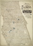 Map of the lands of Florida Land and Colonization Co. by Florida Land and Colonization Co.