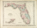 Johnson's Florida. by Alvin Jewett Johnson