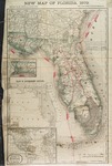 New map of Florida, 1879. by Rand McNally and Company.