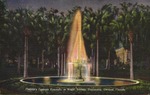 Florida's Famous Fountain at Night, Stetson University, DeLand, Fl.