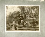 Stetson University students at the Old Mill at DeLeon Springs, Florida