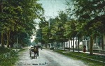 Postcard of New York Avenue, DeLand, Florida