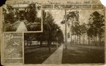 Composite shots of Stetson University campus, DeLand, Fl.