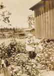 Children play in the Flower Garden on Dinda Homestead, c. 1920
