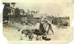 Dinda farm: Women feeding chickens, c. 1915