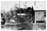 Slovak Settlement in Zellwood. March 28, 1911, Enhanced Image