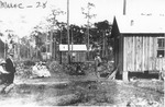 Slovak Settlement in Zellwood. March 28, 1911, Original Image