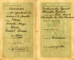 1912 Passport for Andrew Duda, Sr. Family