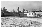Office of A. Duda and Sons,Inc. with boxcars heading to the packing house. 1930s, Black and White