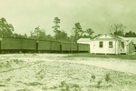 Office of A. Duda and Sons,Inc. with boxcars heading to the packing house. 1930s, Enhanced
