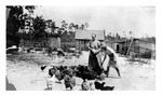 Dinda farm: Women feeding chickens, c. 1915