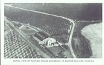 Aerial view of a packing house and grove at Doctor Phillips, Florida.