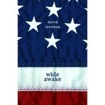 Wide Awake by David Levithan