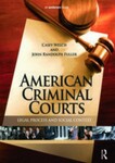 American Criminal Courts: Legal Process and Social Context, 1st Edition by Casey Welch and John Randolph Fuller