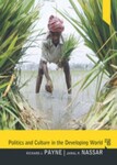 Politics and Culture in the Developing World, 5th Edition