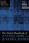 The Oxford Handbook of Juvenile Crime and Juvenile Justice (2011)