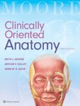 Clinically Oriented Anatomy (2018) by Keith L. Moore, Arthur F. Dalley, and Anne Agur