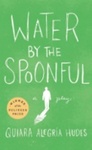 Water by the Spoonful (2017) by Quiara Alegría Hudes