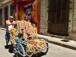 Garlic and Onions For Sale in Havana, Cuba by Wendy S. Howard EdD