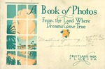 A book of photos: from the land where dreams come true : Fruitland Park Florida.