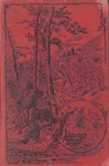 Ferdinand de Soto: the discoverer of the Mississippi.