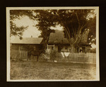 Man and Woman Posing with Horse in Front of House