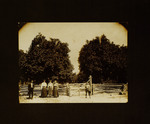 Men and Women Standing in Front of Fence with Trees
