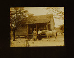 Three Women and Child Posing with Dog and Horse in Front of House