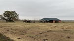Horses and Barn at Gaucho Ranch by Wendy Howard