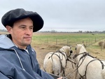 Gaucho with Horses