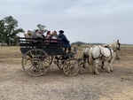 Students on Carriage Ride at Gaucho Ranch 3 by Wendy Howard