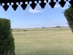 View of Pampas 1