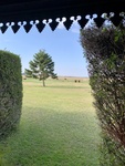 View of Pampas 2