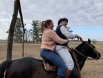 Horses at Gaucho Ranch 16 by Wendy Howard